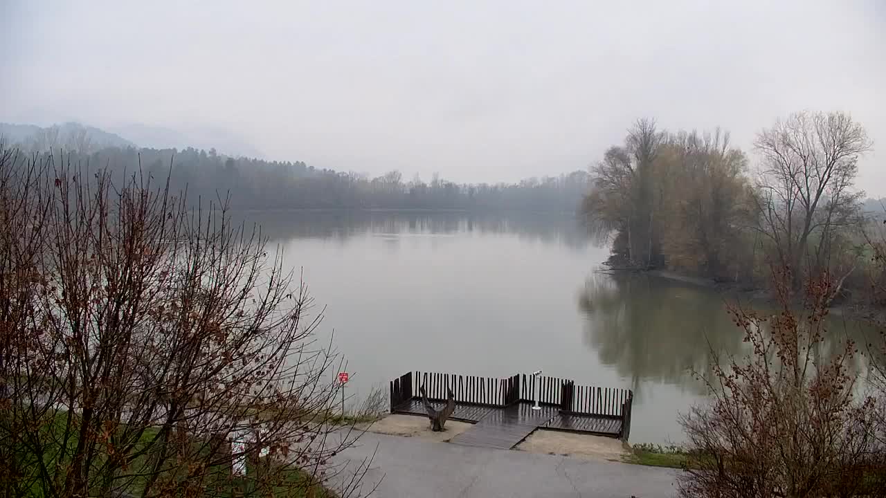 Spletna kamera Ribnik Vrbje – Žalec