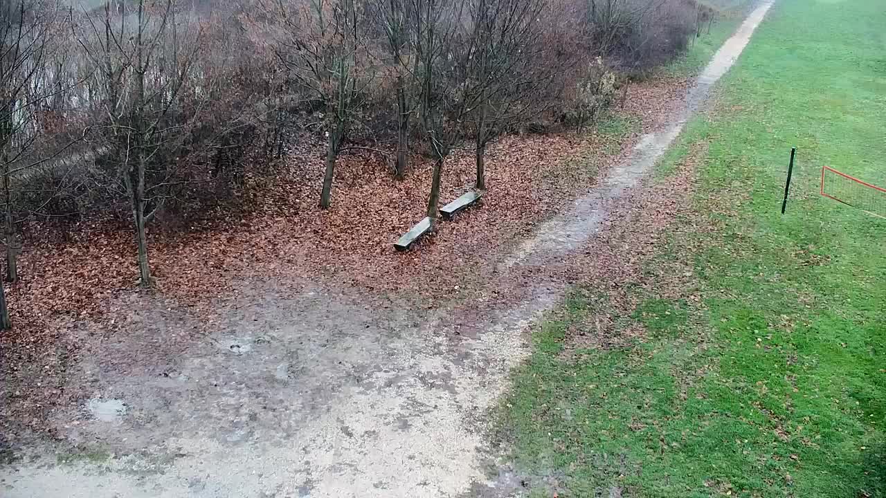 Web kamera Ribnik Vrbje – Žalec