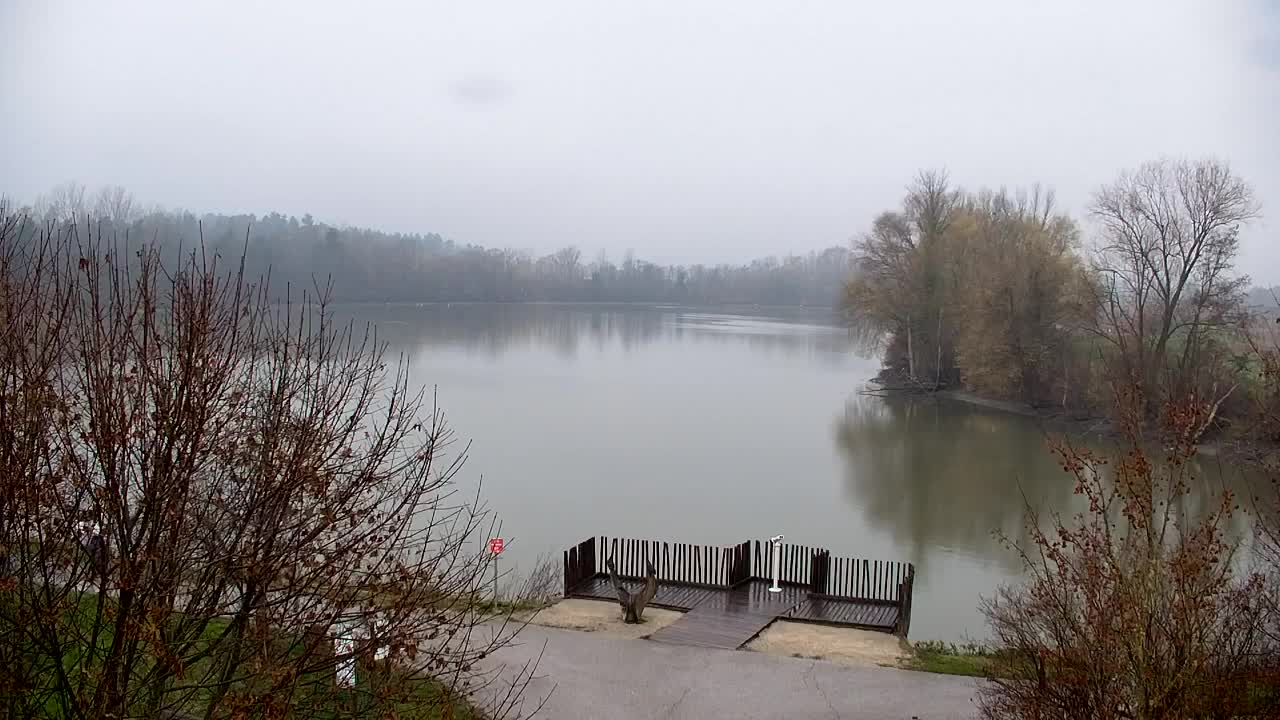 Webcam Ribnik Vrbje – Žalec