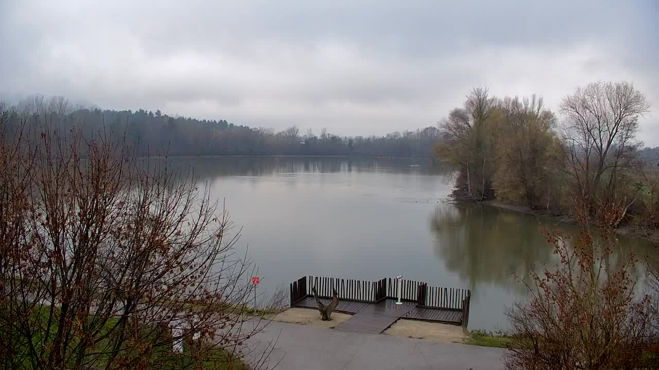 Webcam Ribnik Vrbje – Žalec