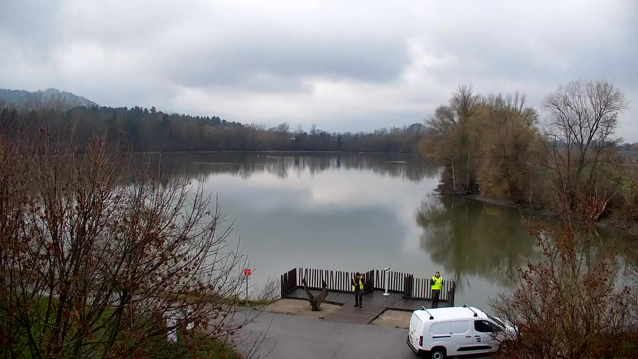 Webcam Ribnik Vrbje – Žalec