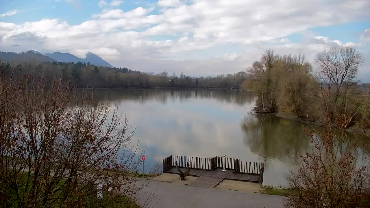 Webcam Ribnik Vrbje – Žalec