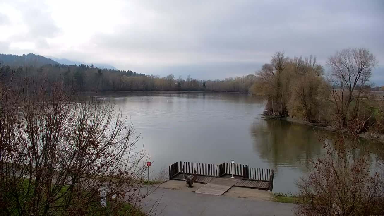 Web kamera Ribnik Vrbje – Žalec