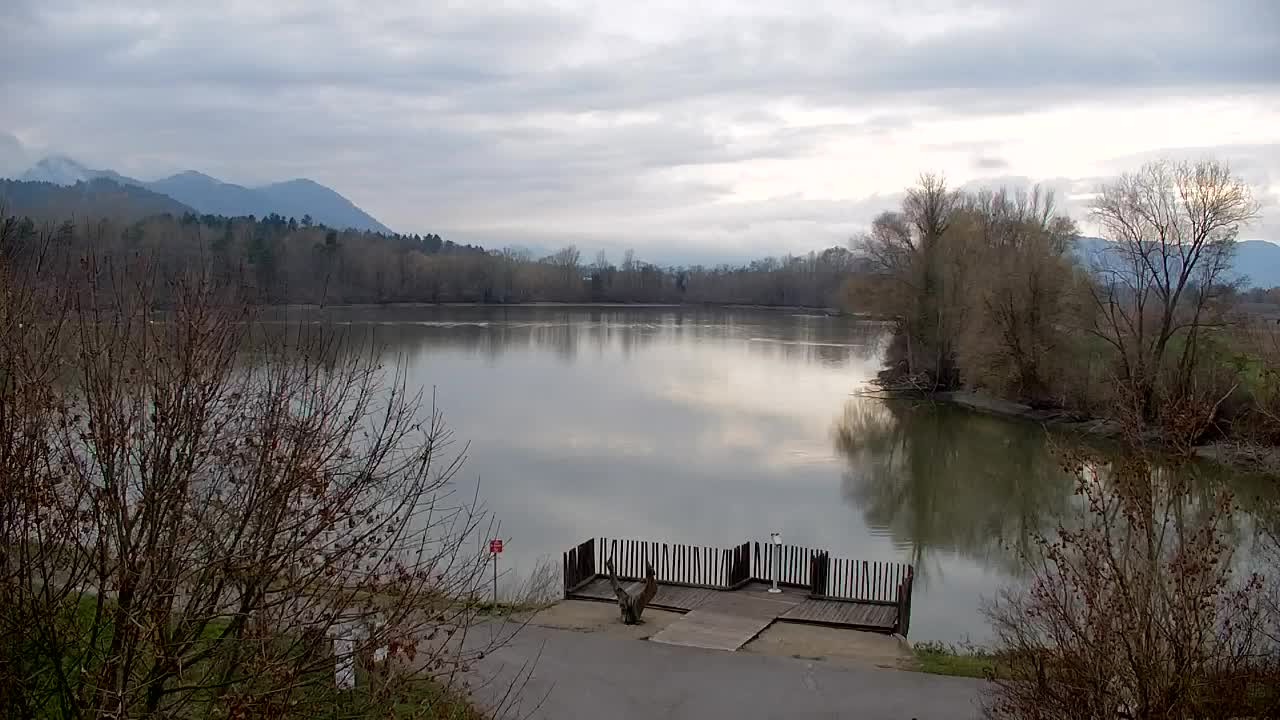 Webcam Ribnik Vrbje – Žalec