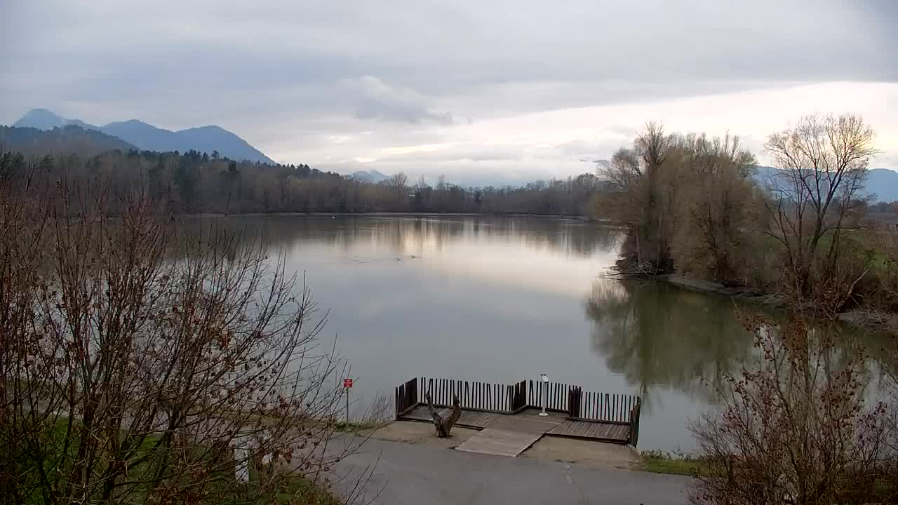 Webcam Ribnik Vrbje – Žalec