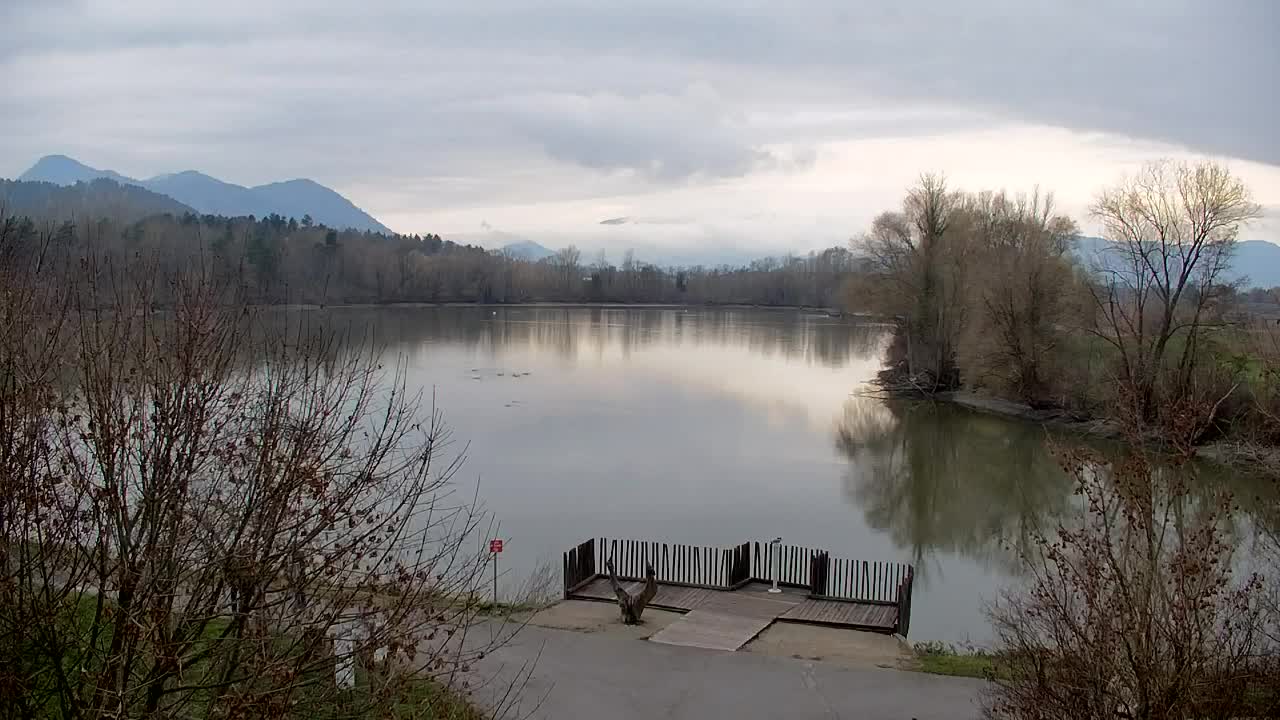 Webcam Ribnik Vrbje – Žalec