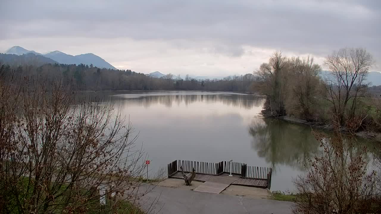 Webcam Ribnik Vrbje – Žalec