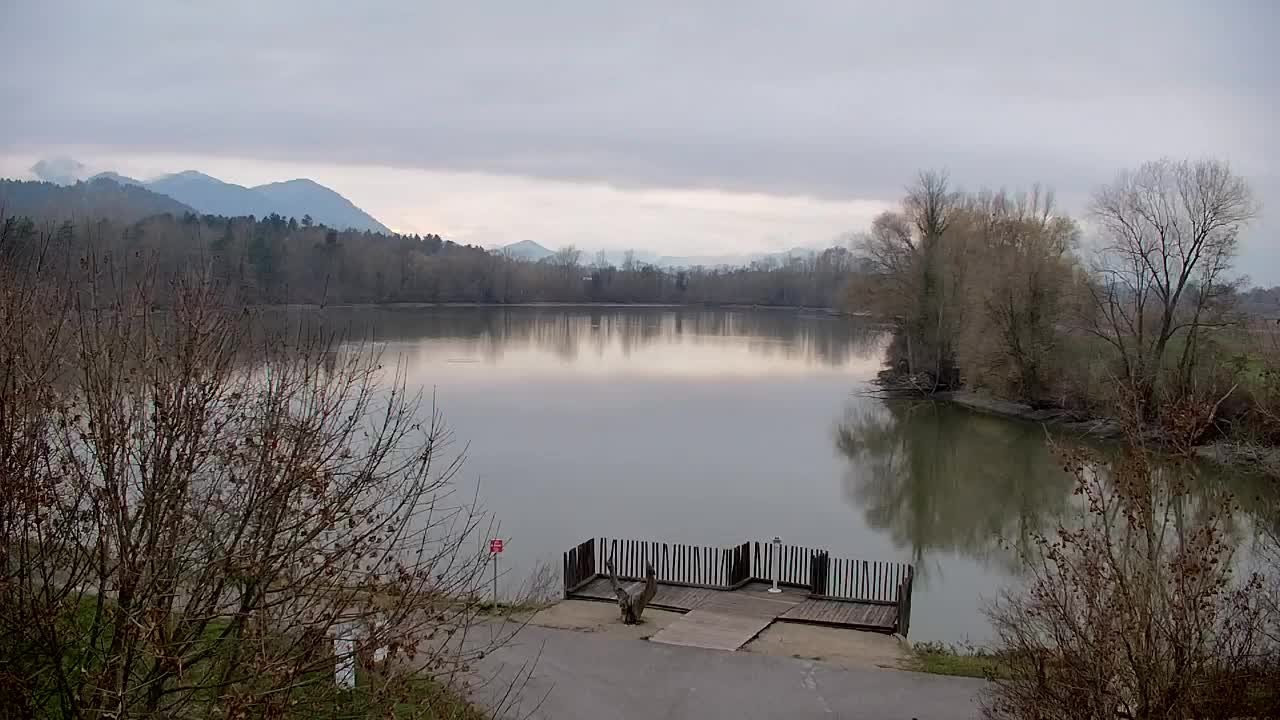 Web kamera Ribnik Vrbje – Žalec