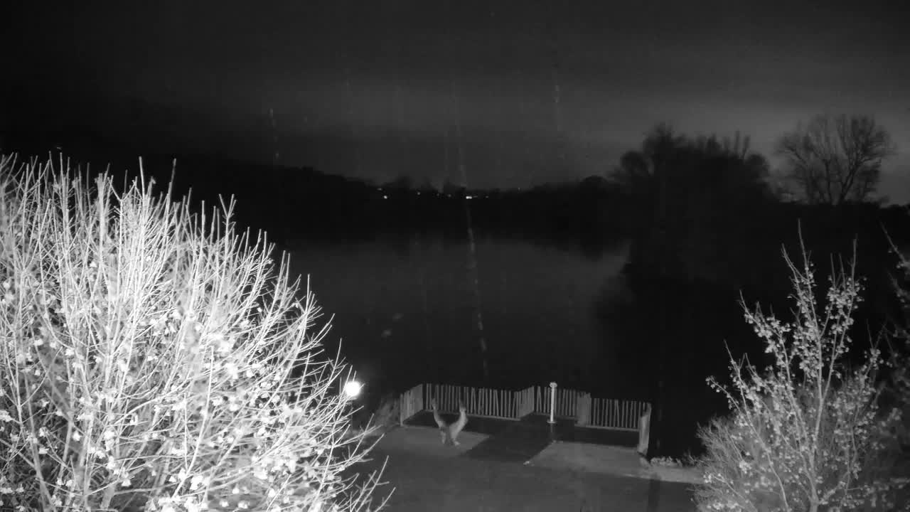 Webcam Ribnik Vrbje – Žalec