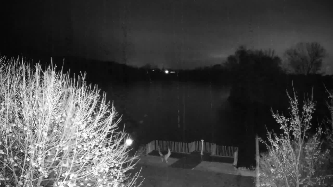 Webcam Ribnik Vrbje – Žalec