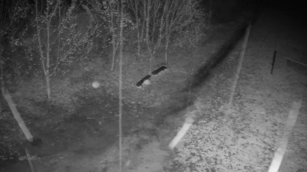 Webcam Ribnik Vrbje – Žalec