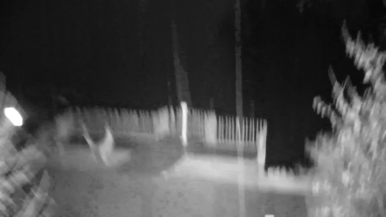 Webcam Ribnik Vrbje – Žalec