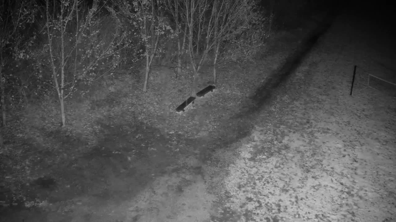 Webcam Ribnik Vrbje – Žalec