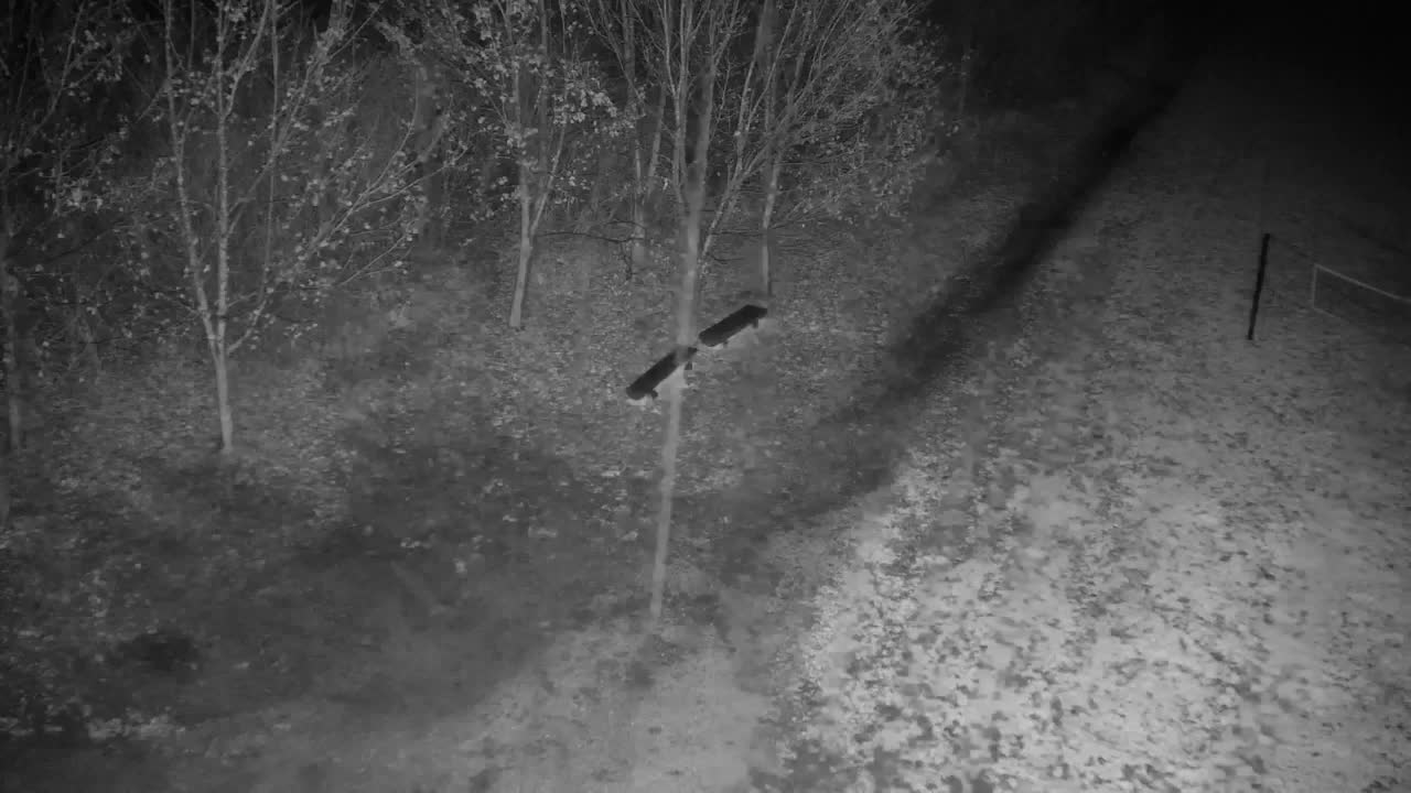 Webcam Ribnik Vrbje – Žalec