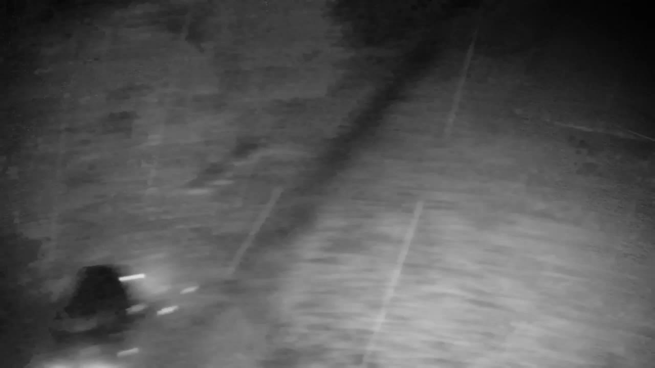 Web kamera Ribnik Vrbje – Žalec