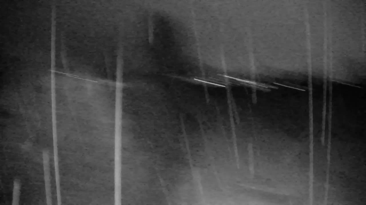 Webcam Ribnik Vrbje – Žalec