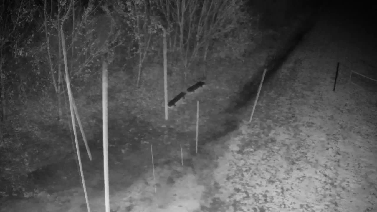 Webcam Ribnik Vrbje – Žalec