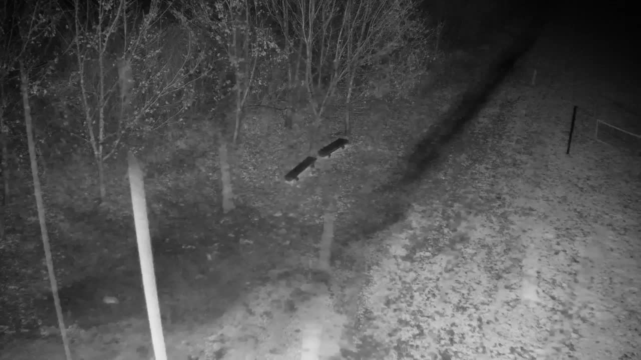 Webcam Ribnik Vrbje – Žalec