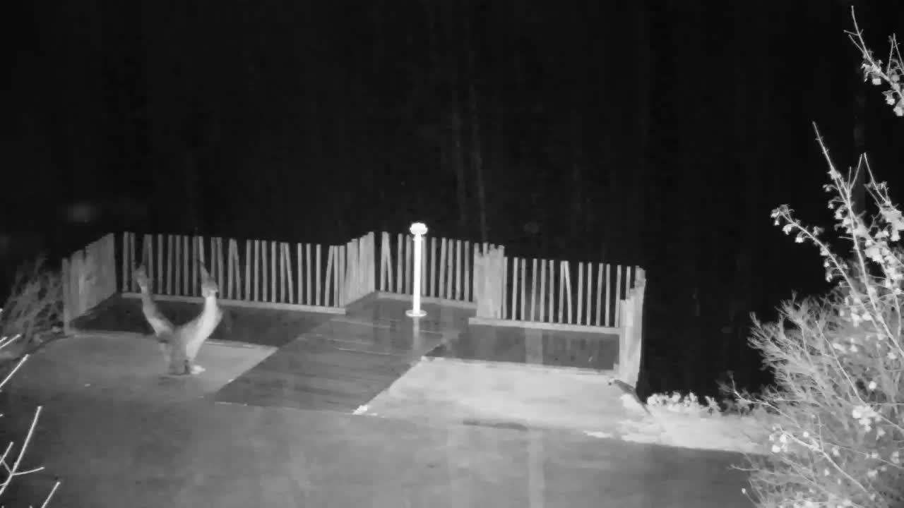 Webcam Ribnik Vrbje – Žalec