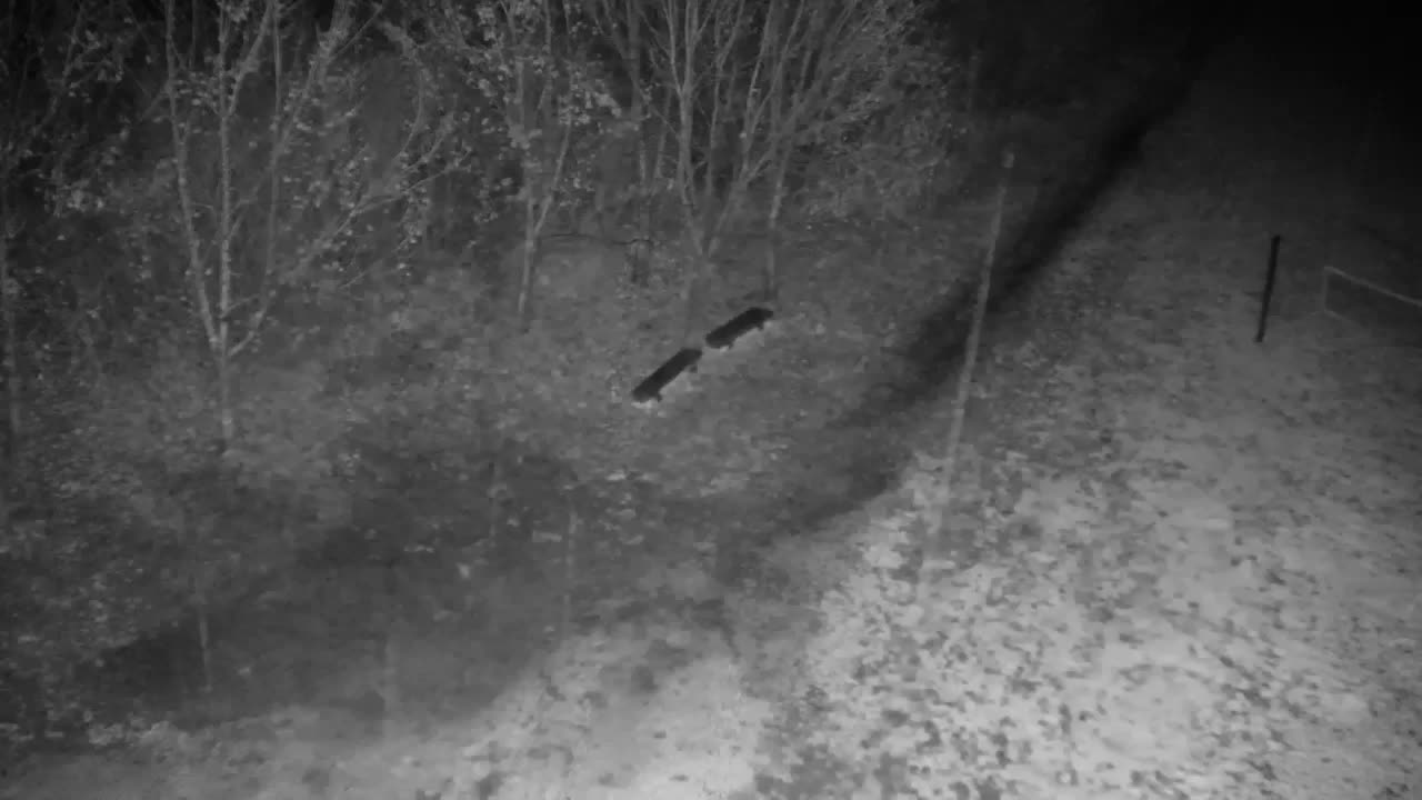 Webcam Ribnik Vrbje – Žalec