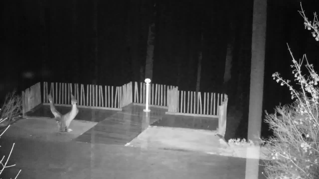 Webcam Ribnik Vrbje – Žalec