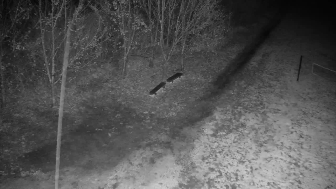 Webcam Ribnik Vrbje – Žalec