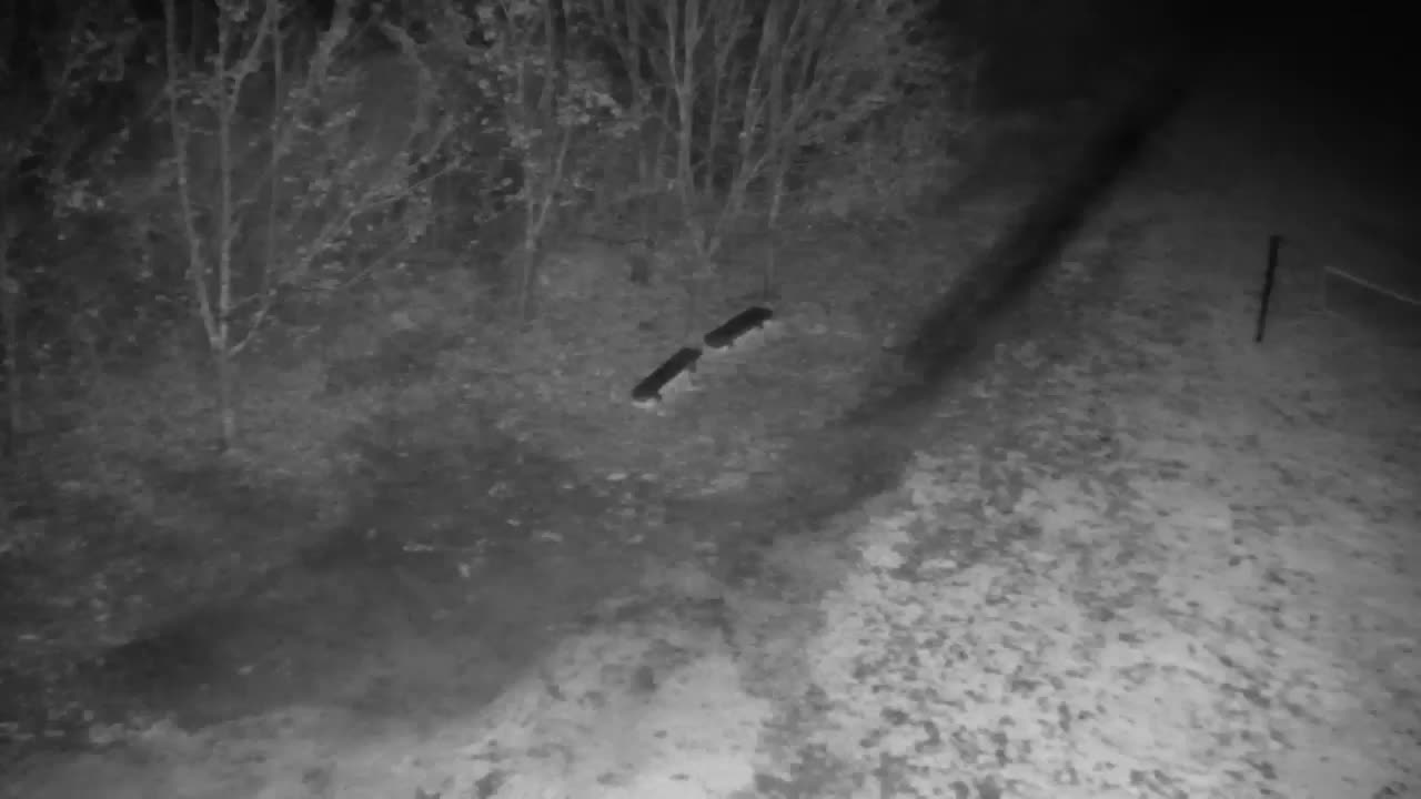 Webcam Ribnik Vrbje – Žalec