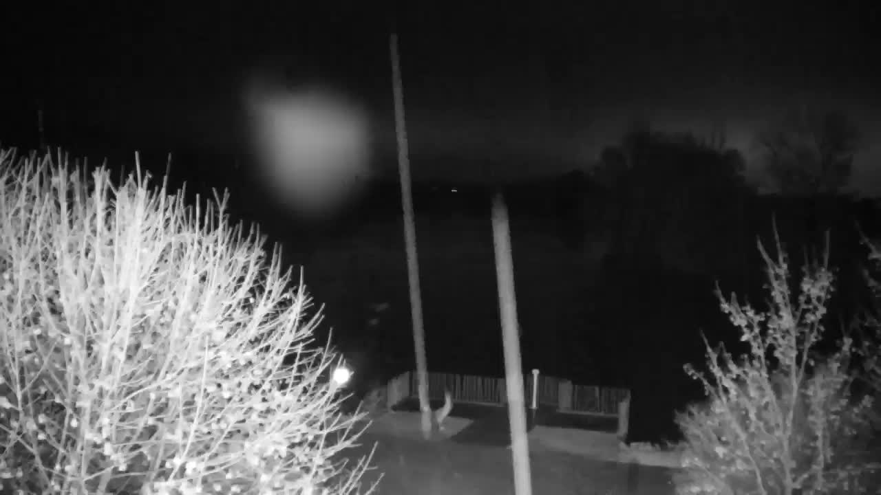 Webcam Ribnik Vrbje – Žalec