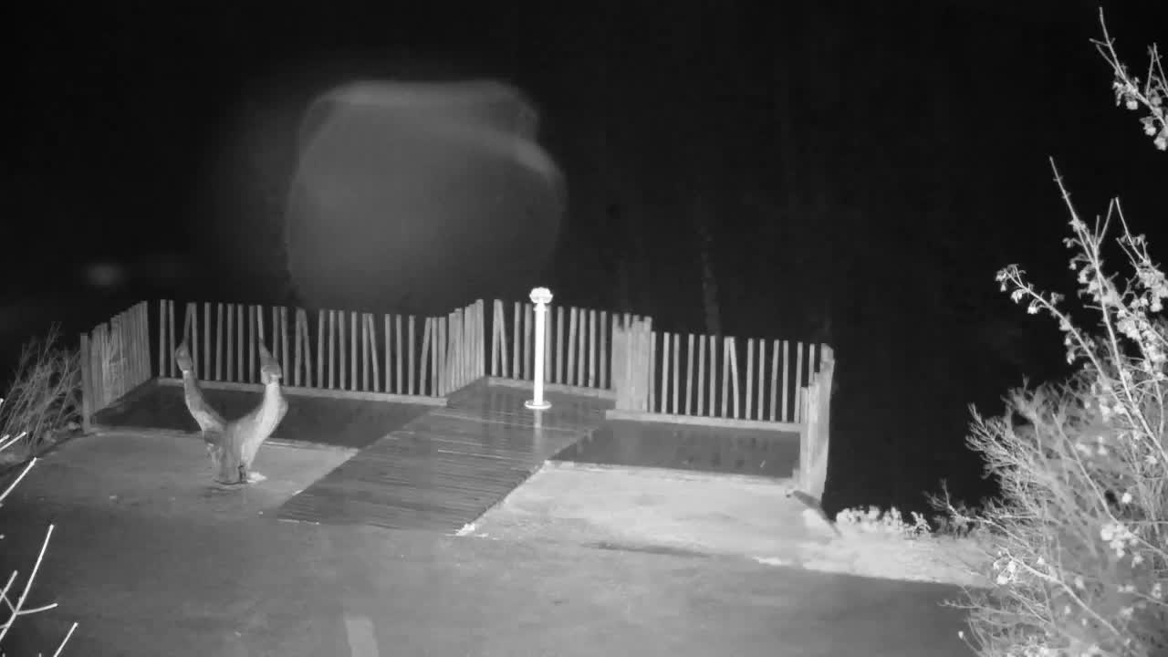 Spletna kamera Ribnik Vrbje – Žalec