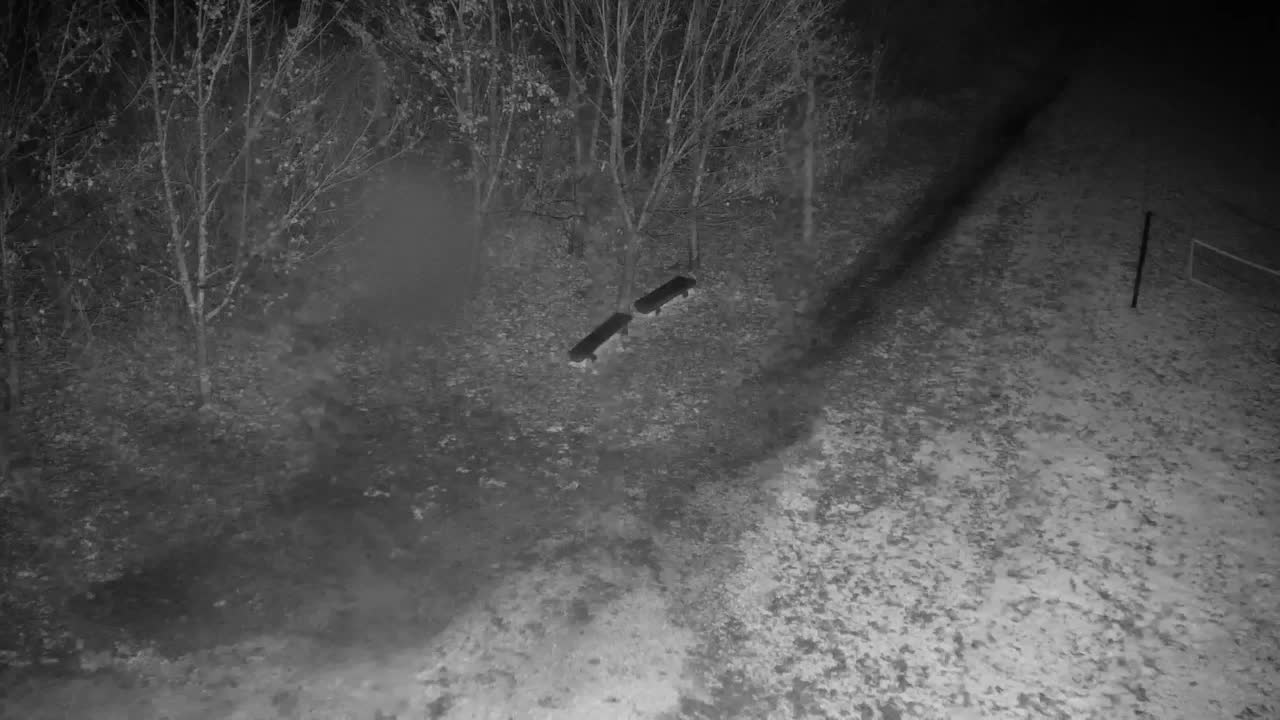 Webcam Ribnik Vrbje – Žalec