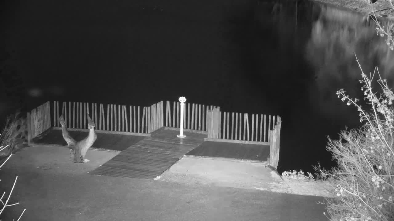 Webcam Ribnik Vrbje – Žalec