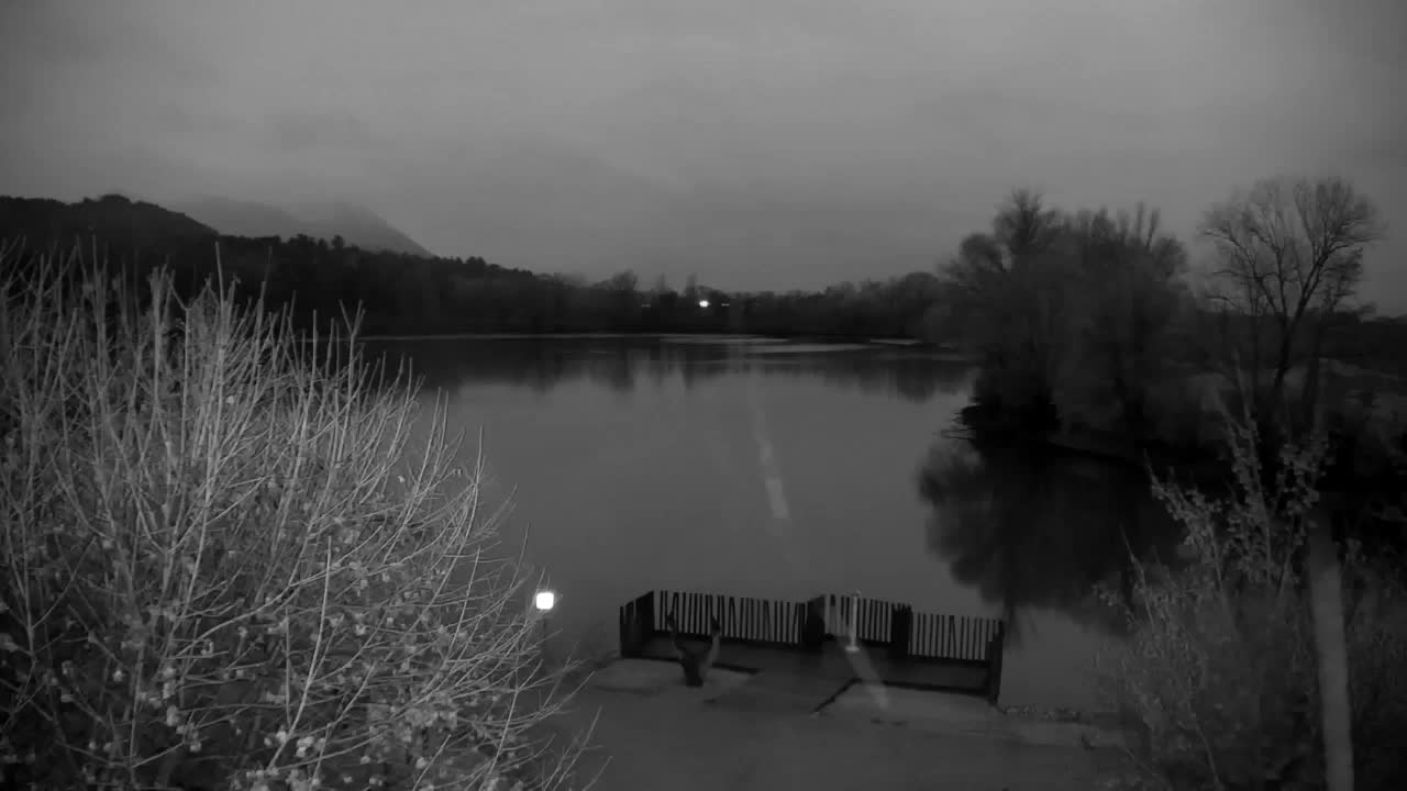 Web kamera Ribnik Vrbje – Žalec