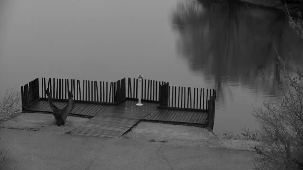 Webcam Ribnik Vrbje – Žalec