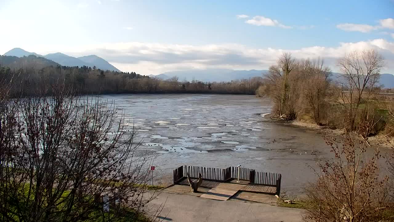 Webcam Ribnik Vrbje – Žalec