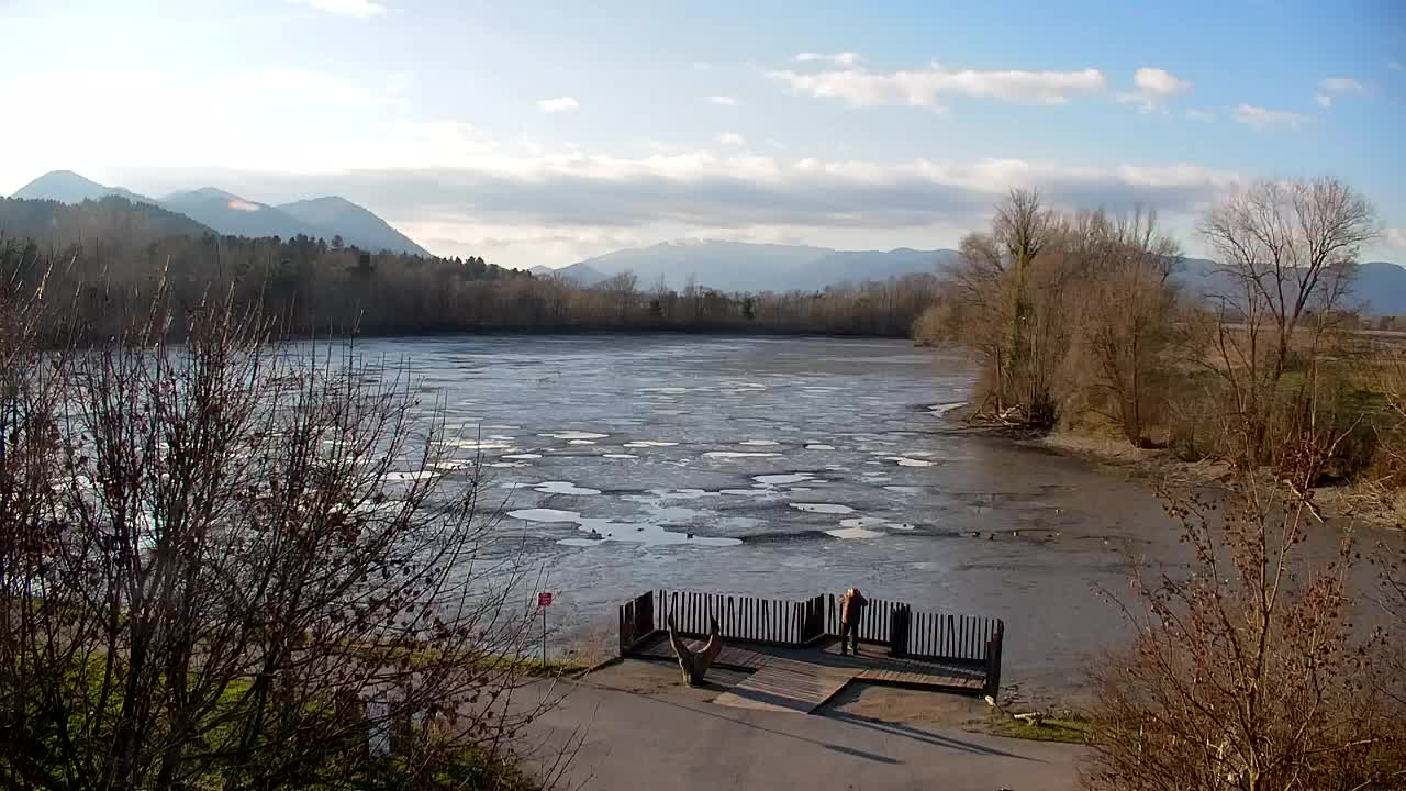 Webcam Ribnik Vrbje – Žalec