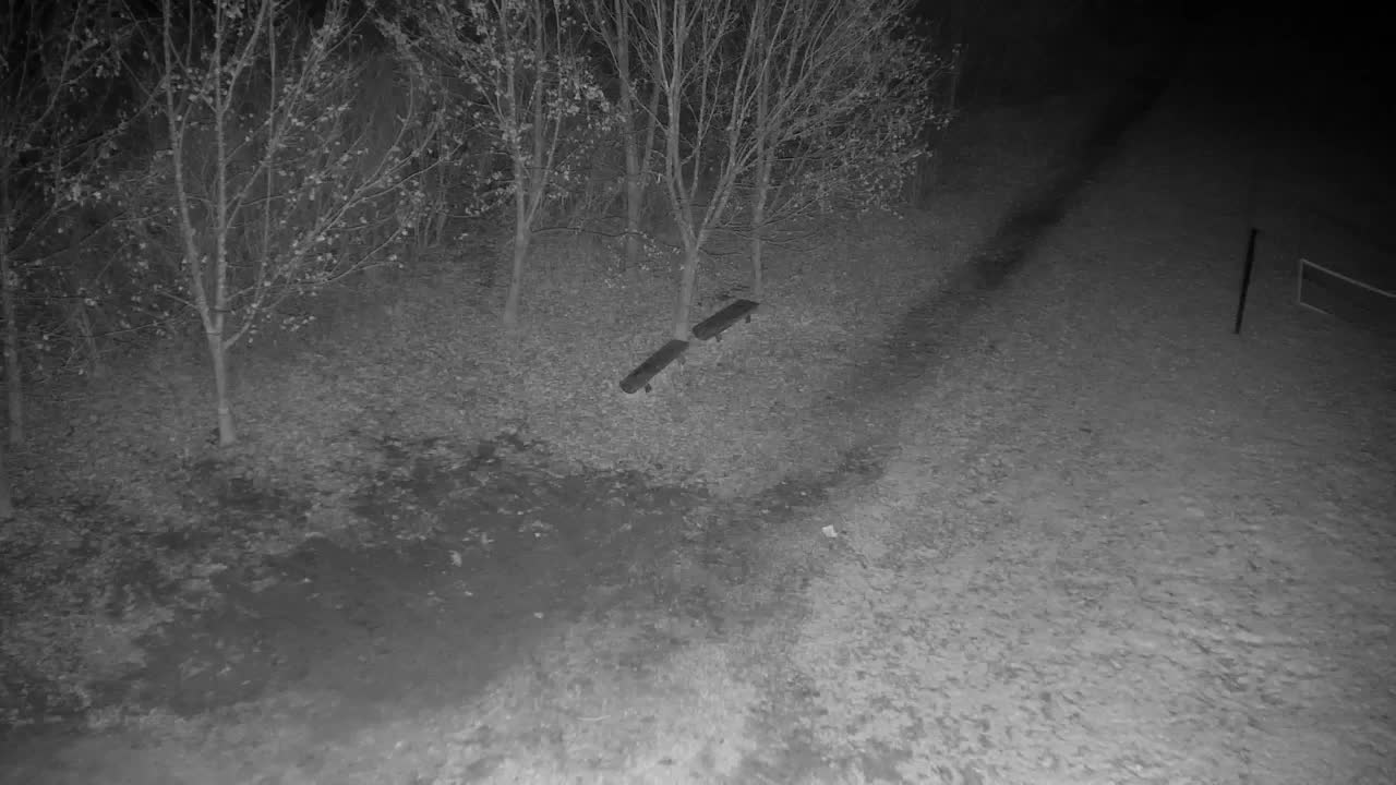 Webcam Ribnik Vrbje – Žalec