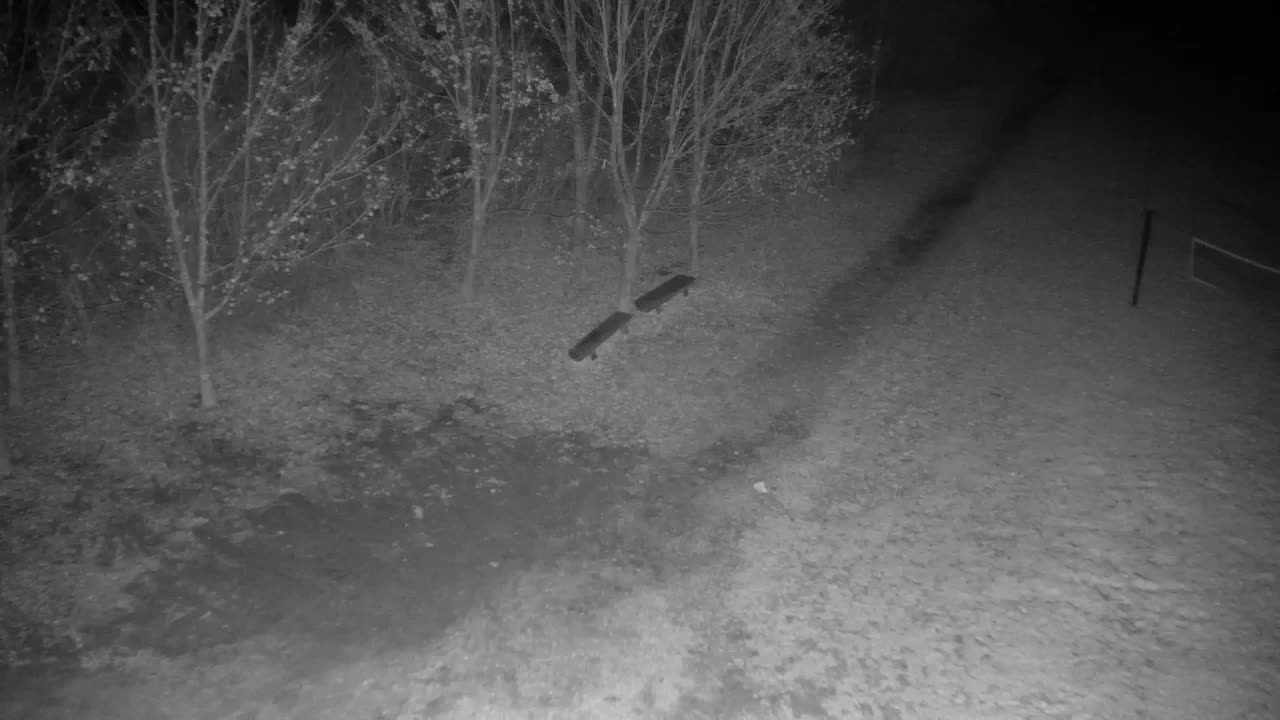 Web kamera Ribnik Vrbje – Žalec