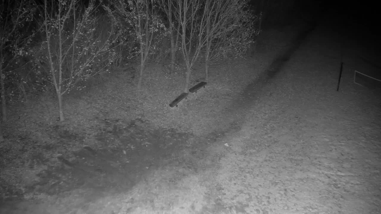 Webcam Ribnik Vrbje – Žalec