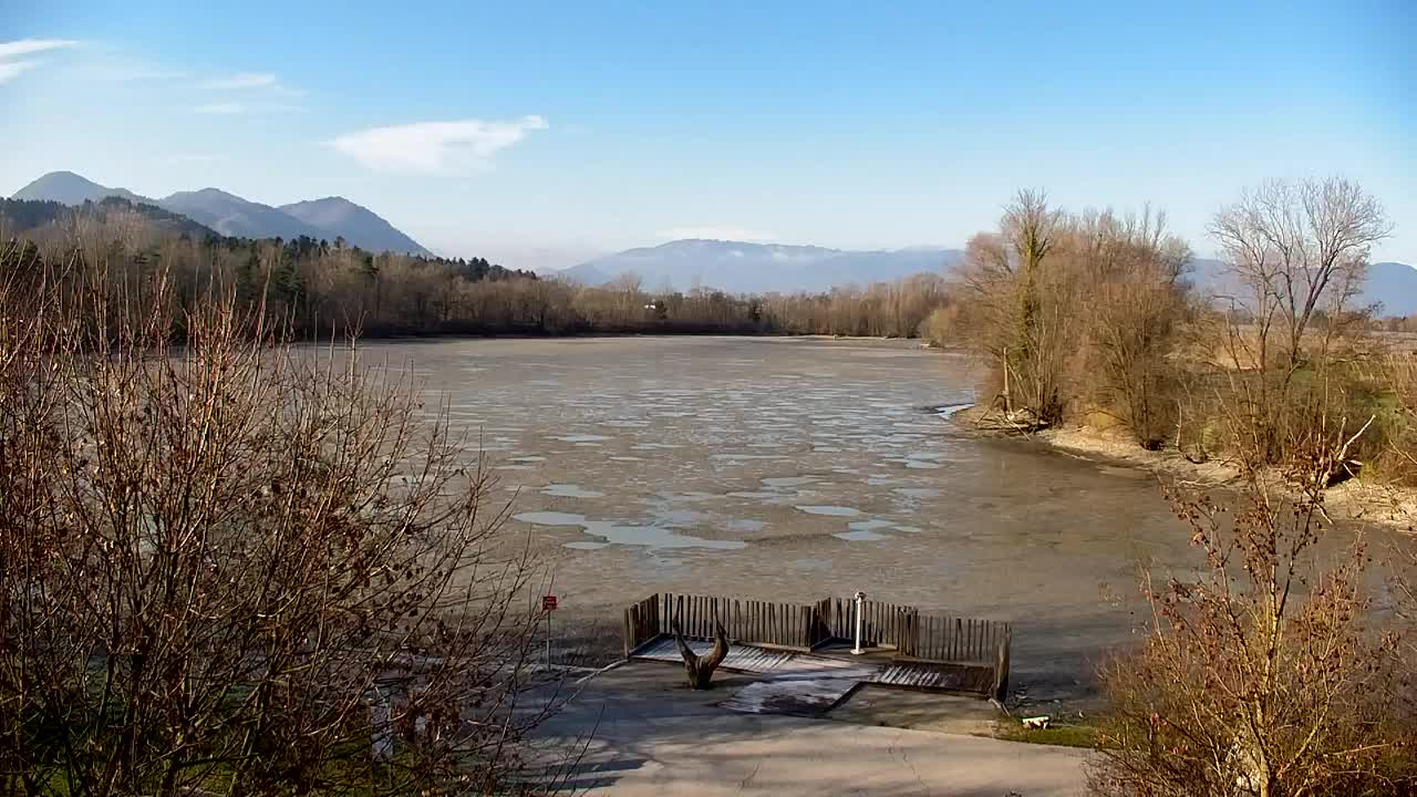 Webcam Ribnik Vrbje – Žalec