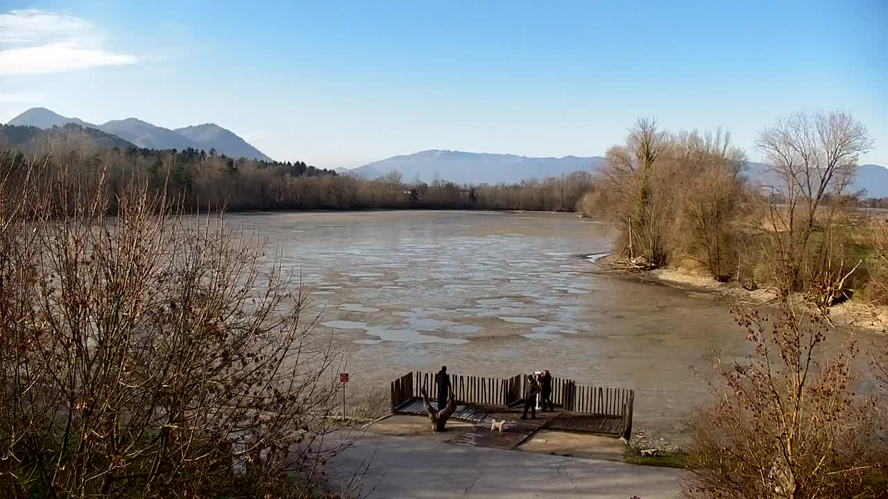 Webcam Ribnik Vrbje – Žalec