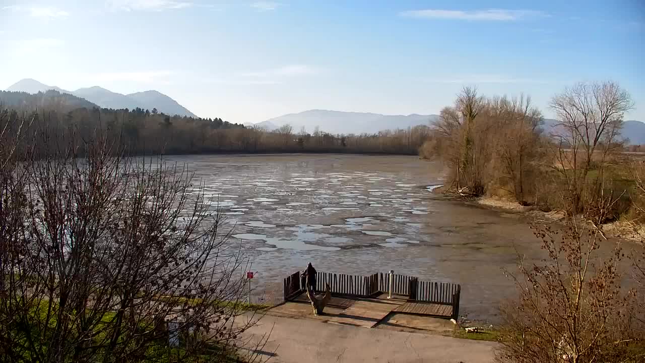 Webcam Ribnik Vrbje – Žalec