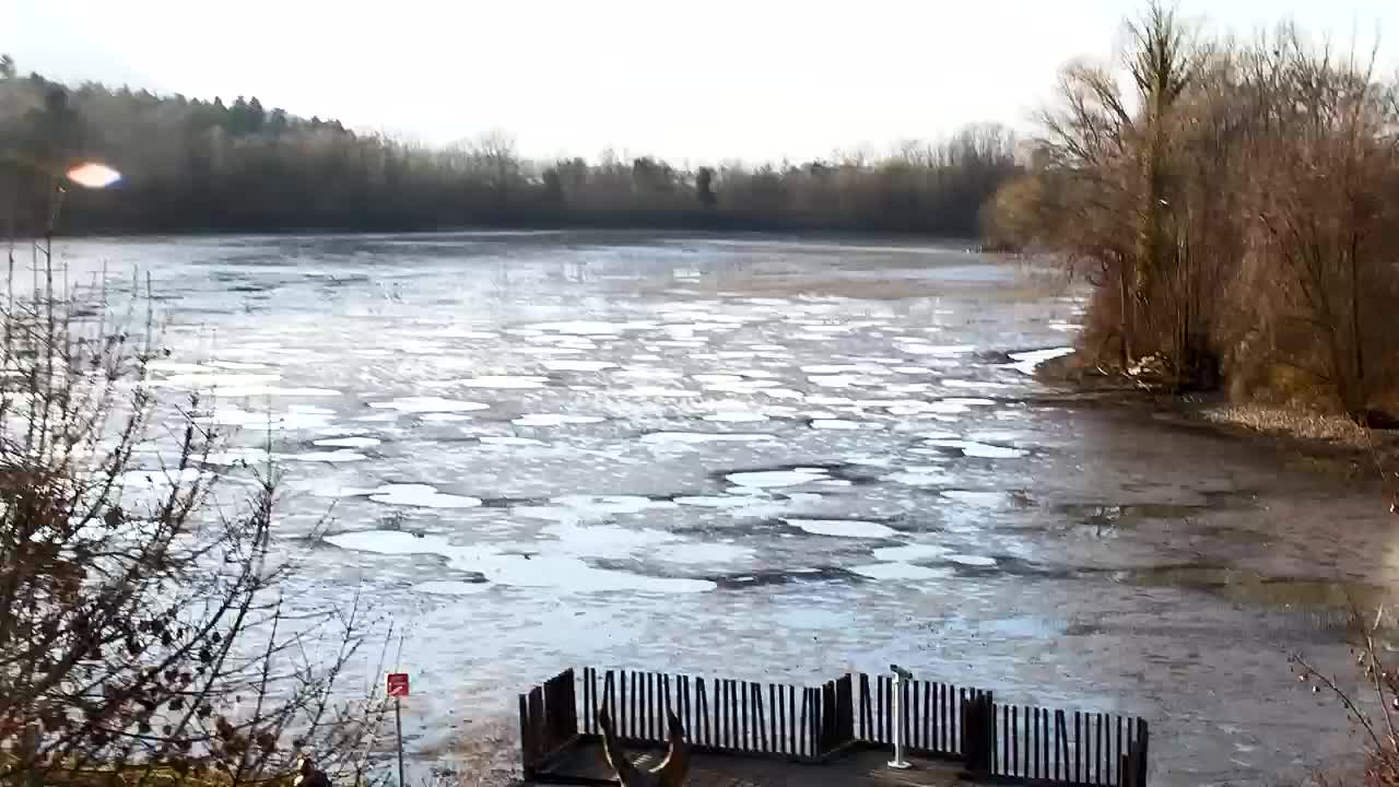 Webcam Ribnik Vrbje – Žalec