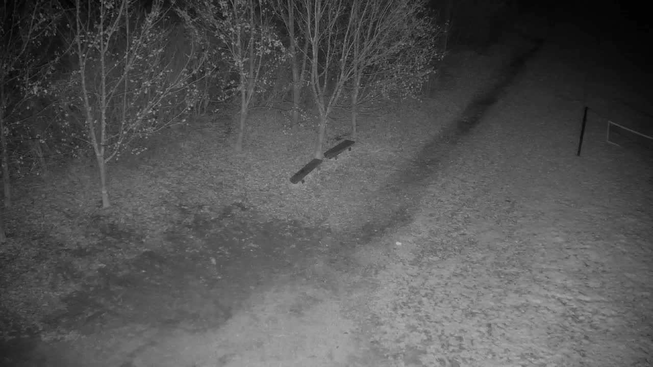 Webcam Ribnik Vrbje – Žalec