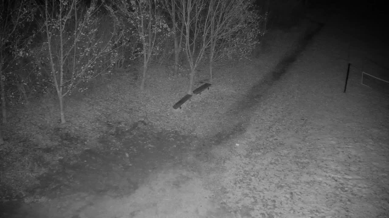 Webcam Ribnik Vrbje – Žalec