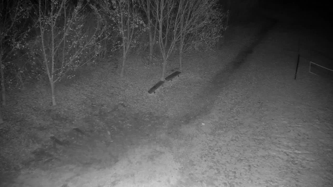 Webcam Ribnik Vrbje – Žalec