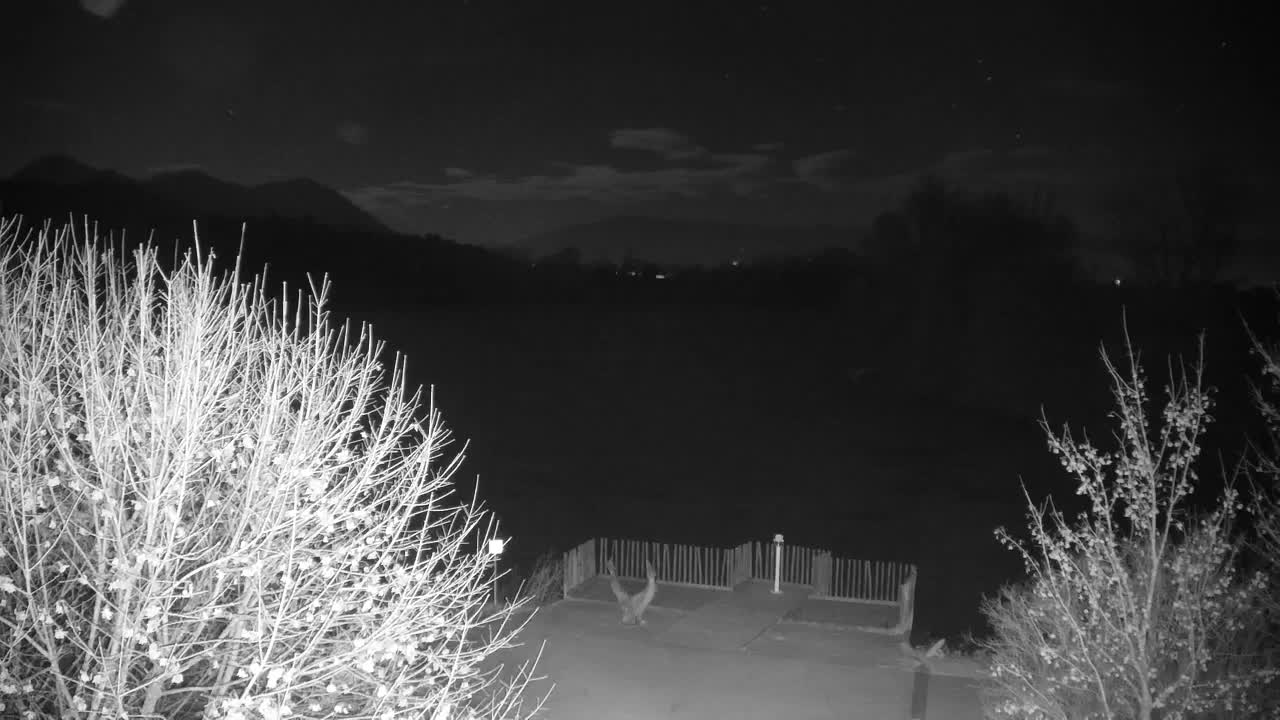 Webcam Ribnik Vrbje – Žalec