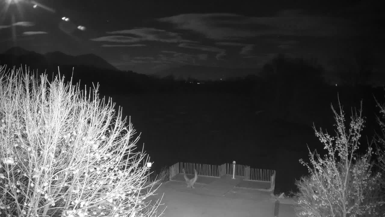 Webcam Ribnik Vrbje – Žalec