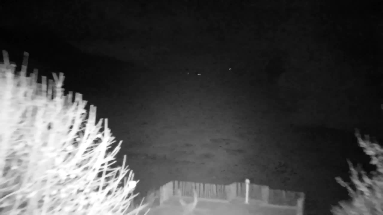 Webcam Ribnik Vrbje – Žalec