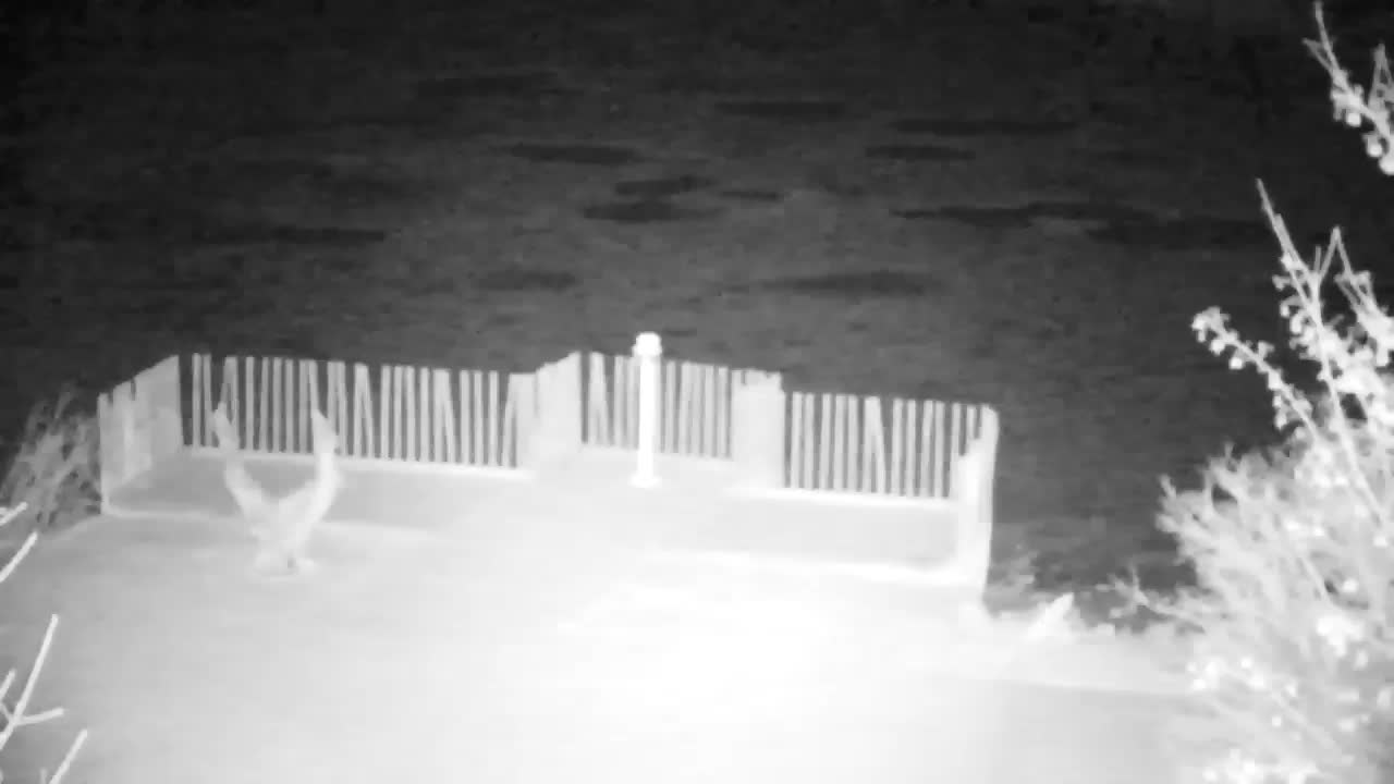 Webcam Ribnik Vrbje – Žalec