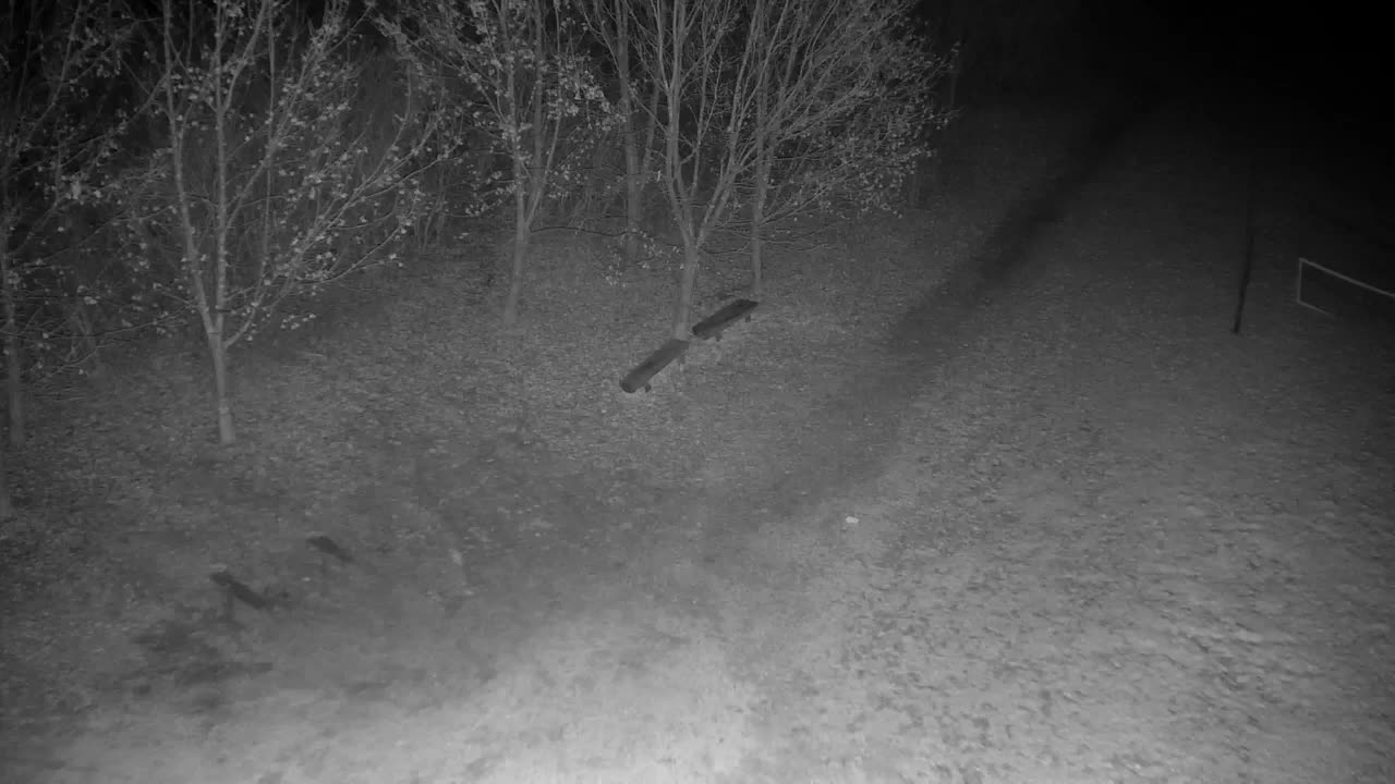 Spletna kamera Ribnik Vrbje – Žalec